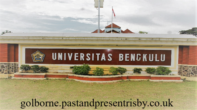 Jurusan Populer Universitas Terbuka Bengkulu untuk Masa Depan